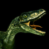 Dinosaur